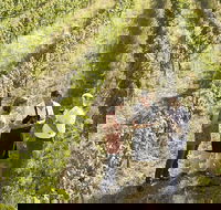 Beyond The Velvet Rope - Behind the Scenes Tour - Winery Find