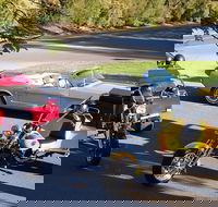 Ultimate Barossa Adventure Day Tour For 2 - Combined Mustang Convertible-Trike - Winery Find