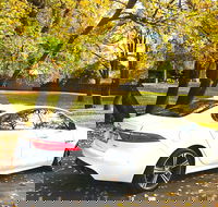 Luxury Jaguar Barossa Valley Half Day Private Tour For 2 - Winery Find
