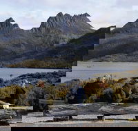 Cruise Ship Special from Burnie to Cradle Mountain - Winery Find