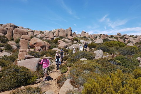 Alpine Loop - Winery Find 2