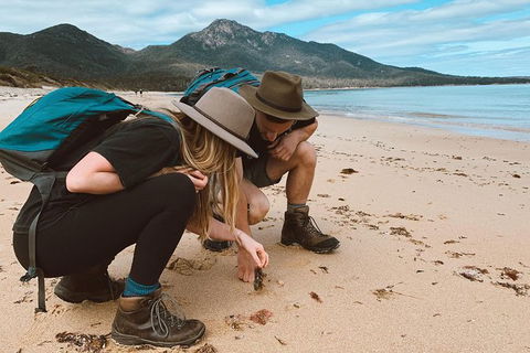 Freycinet Walking Tour - Winery Find 0