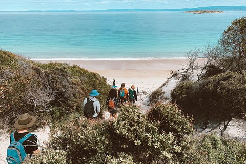 Freycinet Walking Tour - Winery Find 2