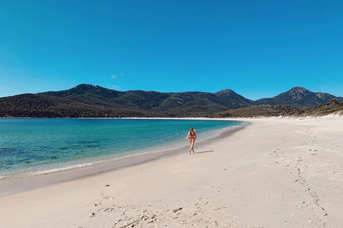 Freycinet Walking Tour - Winery Find 5