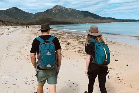 Freycinet Walking Tour - Winery Find 7