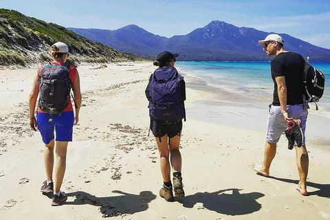 Freycinet Walking Tour - Winery Find 1