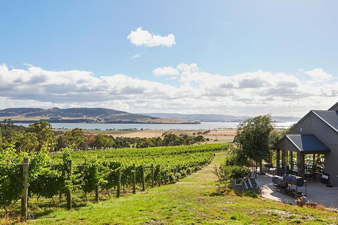 Launceston Wine & Sightseeing Tours - Winery Find 0