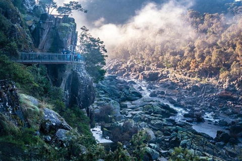 3.5 Hours Walking Tour To Cataract Gorge With Local Guide - Winery Find 0
