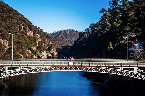 3.5 Hours Walking Tour To Cataract Gorge With Local Guide - Winery Find 5
