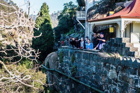 3.5 Hours Walking Tour To Cataract Gorge With Local Guide - Winery Find 3