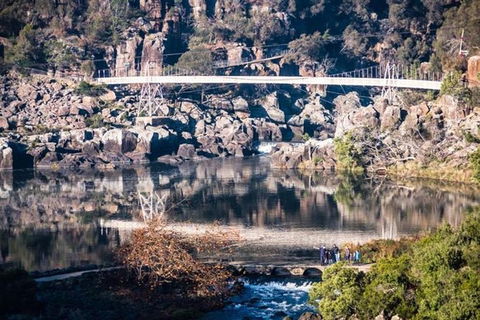 3.5 Hours Walking Tour To Cataract Gorge With Local Guide - Winery Find 2