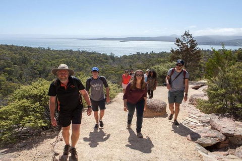Half-Day Tour To Wineglass Bay From Launceston With Guide - Winery Find 4