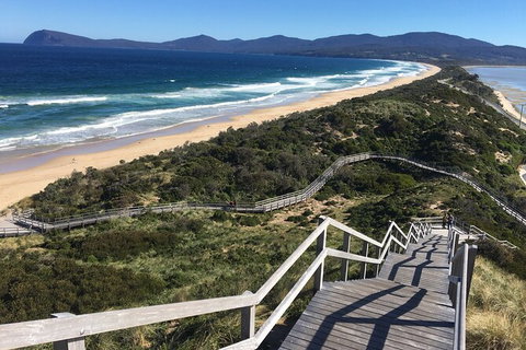4-Day Fabulous Tasmania Tour: Wineglass Bay, Port Arthur, Devils & Bruny Island - Winery Find 3