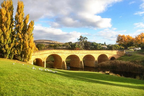 4-Day Fabulous Tasmania Tour: Wineglass Bay, Port Arthur, Devils & Bruny Island - Winery Find 7