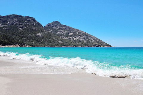 Sea & Explore Wineglass Bay & Freycinet National Park - Cruise & Walk - Winery Find 4