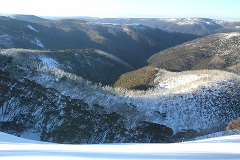 Alpine Ultimate Snow Trip - Winery Find 2