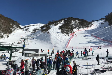 Alpine Ultimate Snow Trip - Winery Find 4