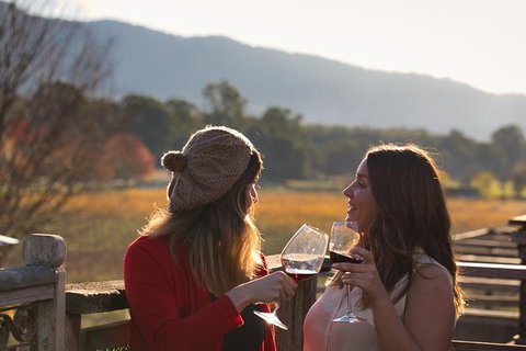 Feathertop Winery: Pedal And Picnic In The Vines - Winery Find 4