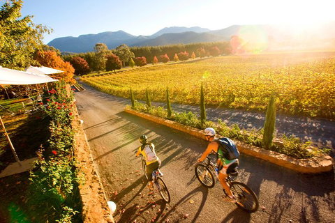 Feathertop Winery: Pedal And Picnic In The Vines - Winery Find 0