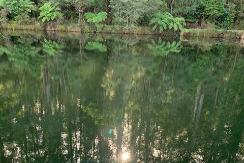 Hiking Tour To Aqueduct And Warburton Valley Lookout - Winery Find 2