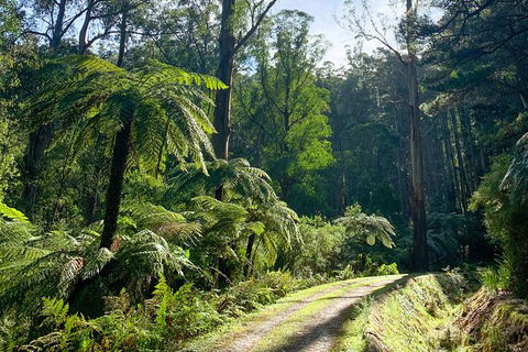 Hiking Tour To Aqueduct And Warburton Valley Lookout - Winery Find 1