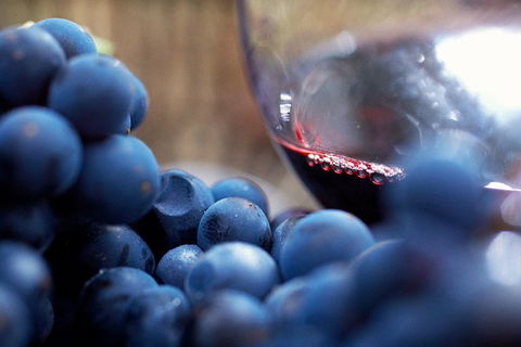 Mornington Peninsula Premium 2-6 Guests Lunch At Merricks General Wine Store - Winery Find 7