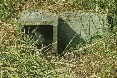 Phillip Island Penguin And Wildlife Tour - Winery Find 11