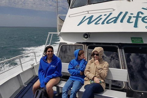 Phillip Island Penguin And Wildlife Tour - Winery Find 15