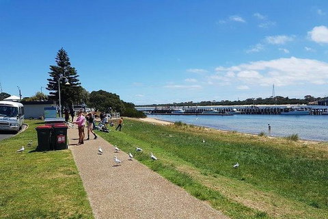 Phillip Island Penguin And Wildlife Tour - Winery Find 25