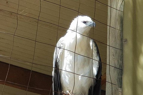 Phillip Island Penguin And Wildlife Tour - Winery Find 21