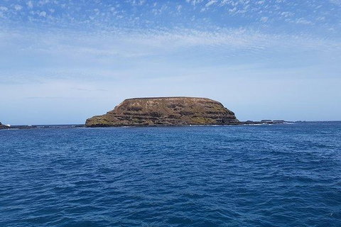 Phillip Island Penguin And Wildlife Tour - Winery Find 17