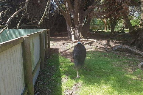 Phillip Island Penguin And Wildlife Tour - Winery Find 5