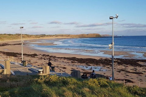 Phillip Island Penguin And Wildlife Tour - Winery Find 8