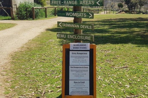 Phillip Island Penguin And Wildlife Tour - Winery Find 4