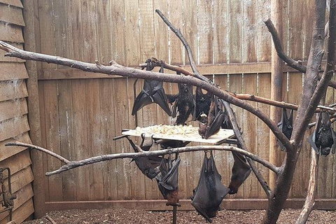 Phillip Island Penguin And Wildlife Tour - Winery Find 31