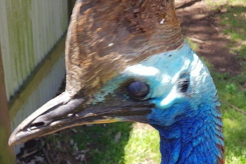 Phillip Island Penguin And Wildlife Tour - Winery Find 19