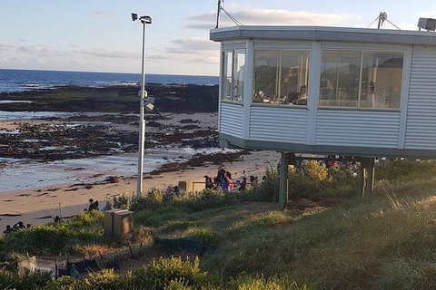 Phillip Island Penguin And Wildlife Tour - Winery Find 33