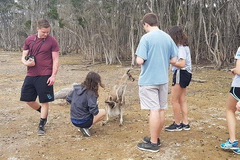 Phillip Island Penguin And Wildlife Tour - Winery Find 3
