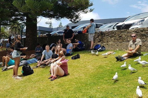 Phillip Island Penguin And Wildlife Tour - Winery Find 22