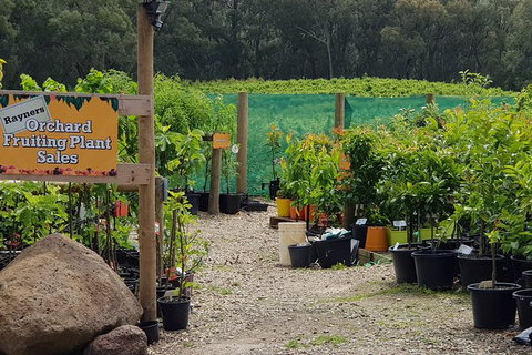 Yarra Valley Wineries And Rayners Orchard Tour From Melbourne - Winery Find 0