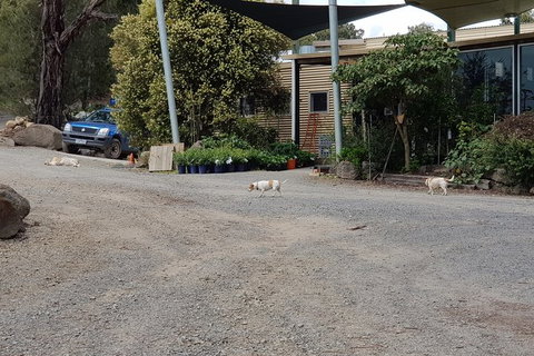 Yarra Valley Wineries And Rayners Orchard Tour From Melbourne - Winery Find 24