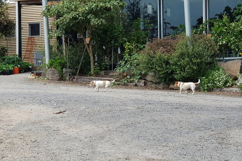 Yarra Valley Wineries And Rayners Orchard Tour From Melbourne - Winery Find 23