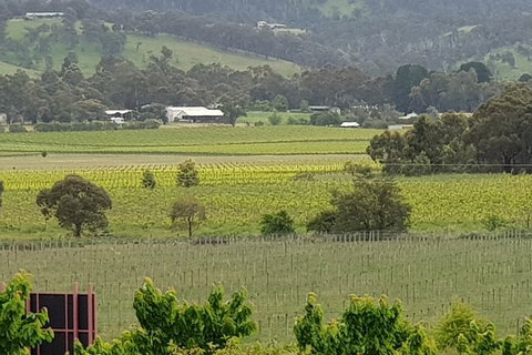 Yarra Valley Wineries And Rayners Orchard Tour From Melbourne - Winery Find 2