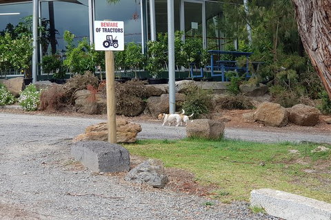 Yarra Valley Wineries And Rayners Orchard Tour From Melbourne - Winery Find 1