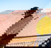 Purnululu Scenic with Argyle Diamond Mine Ground Tour - Winery Find