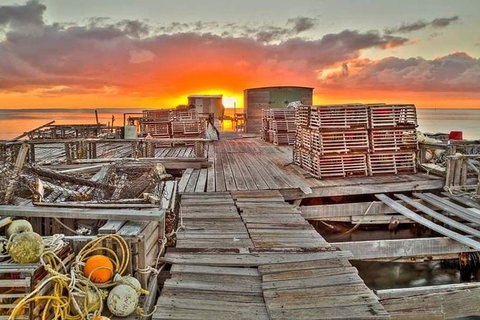 Abrolhos Islands 3 Day Fishing Charter - Winery Find 5