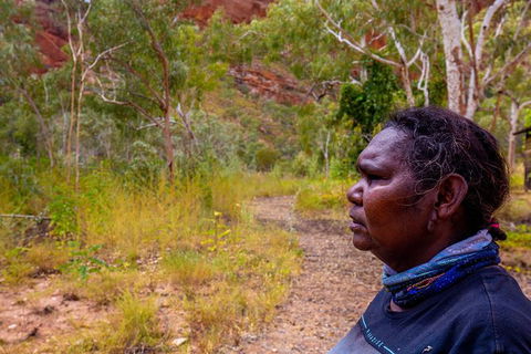 Overnight At Wilderness Lodge: Bungles, Cathedral + Echidna Chasm - Winery Find 6