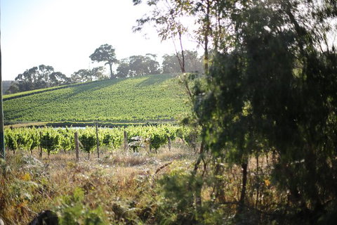 All Inclusive Surf Camp In Margaret River Region - Winery Find 3