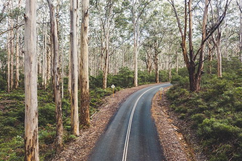 All Inclusive Surf Camp In Margaret River Region - Winery Find 2