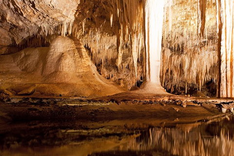 All Inclusive Surf Camp In Margaret River Region - Winery Find 4